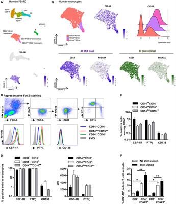 IL-34 Actions on FOXP3+ Tregs and CD14+ Monocytes Control Human Graft Rejection